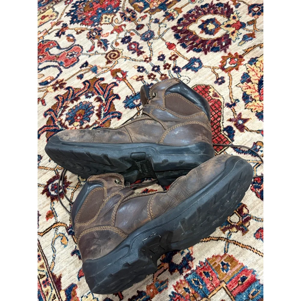 Irish Setter tough trusted